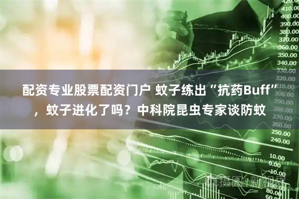 配资专业股票配资门户 蚊子练出“抗药Buff”，蚊子进化了吗？中科院昆虫专家谈防蚊